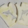Dolphin fingerless mittens - ITHWL