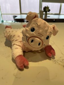 Crawling pig - ITHWL