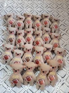 Little bear football - ITHWL