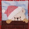 Teddy peeker coaster - ITHWL