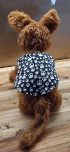 Buddy puppy - ITHWL