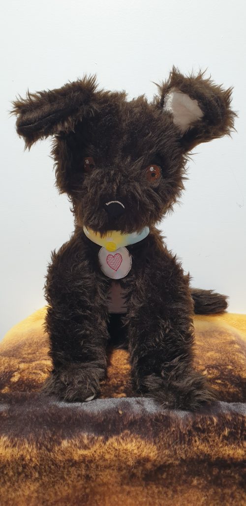 Bella puppy - ITHWL