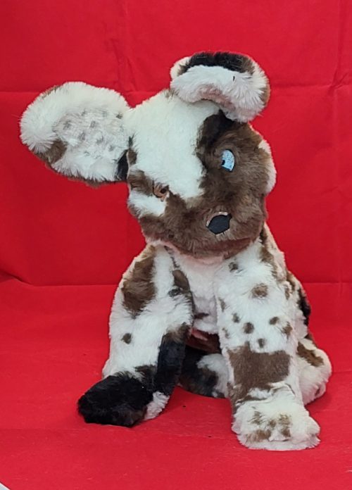 Shep puppy - ITHWL