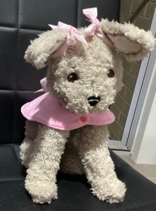 Bella puppy - ITHWL